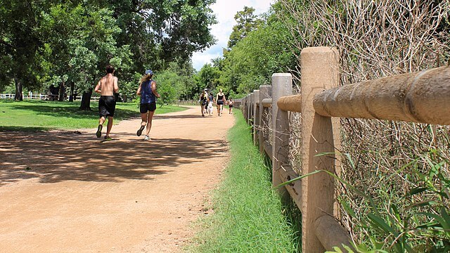 Runners and walkers on the Ann and Roy Butler Hike-and-Bike Trail / Wikimedia / Larry
Link: https://commons.wikimedia.org/wiki/File:Butler_Hike_and_Bike_Trail_Austin_Runners_2017.jpg