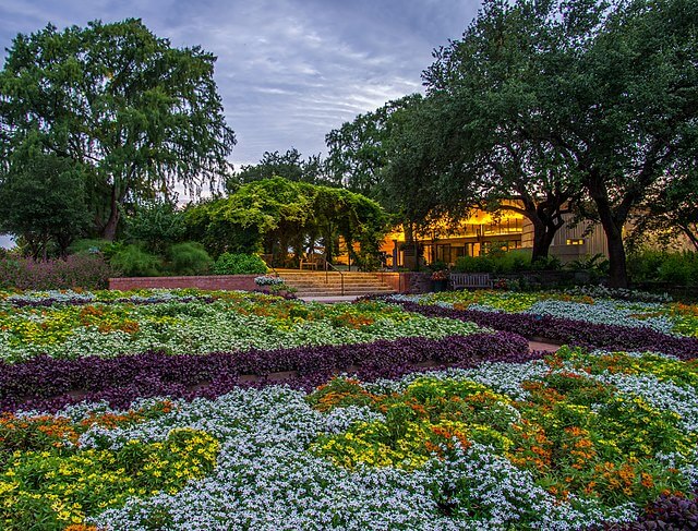 Evening at San Antonio Botanical Garden / Wikimedia / Corey Leopold
Link:  https://commons.wikimedia.org/wiki/File:Evening_Gardens.jpg