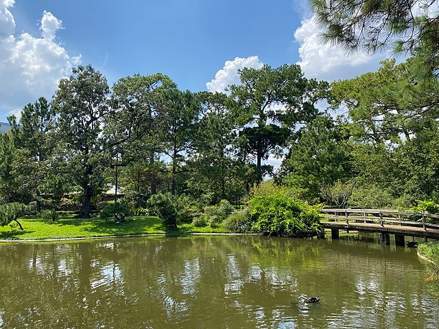 Pond at Hermann Park / Wikimedia / Zp
Link: https://commons.wikimedia.org/wiki/File:Hermann_Park,_Houston_Texas.jpg