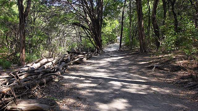 A trail in Walnut Creek Metropolitan Park in Austin, Texas, United States. / Wikipedia / Larry D. Moore
Link: https://en.wikipedia.org/wiki/Walnut_Creek_Metropolitan_Park#/media/File:Trail_Walnut_Creek_Metro_Park_Austin_Texas_2022.jpg
