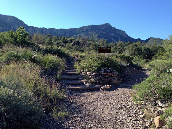 View of Emory Peak from the Basin /
Wikipedia
Link: https://en.wikipedia.org/wiki/Emory_Peak#/media/File:Trail_junction_and_Emory_Peak.JPG