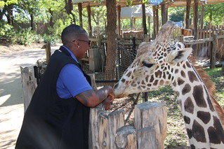 Giant Giraffe in Giants of the Savanna / Doug Davis

Link: https://www.flickr.com/photos/ddavister/32810385637/in/photolist-RZkNy6-2fKQXYK-2fKQYVK-2fKQV5t-TByXc9-2fKQYJ2-84XuSt-2emRCa4-8R6vcC-8R6uoL-8R3kEF-U6VTTh-8R6v6y-TssBup-2gknDrR-RZkL8z-eVnPoy-RZkMrX-RZkMQH-RZkKCX-TBz14b-U6WaoA-RZkLAD-2ey6yS7-LSnu95-DNZWXK-djKXnA-LSntDC-2gknk4V-TBz1Ew-2emRBW8-LSr9wa-LSr9V6-eVbp44-awn6wB-eVnLuu-7KZk2b-84Xvta-2fKQVsH-TBz1mq-7KVmd4-awmcRx-eVnNB9-7KZjY3-RZkLWi-7KZjJS-7KVm3M-2gknjRW-2gknkbi-g6JGwk