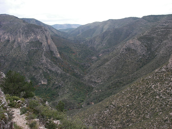 View from the Guadalupe Mountains /
Wikipedia
Link: https://en.wikipedia.org/wiki/Guadalupe_Mountains#/media/File:McKittrick_Canyon_view_west_from_The_Notch_2008.JPG