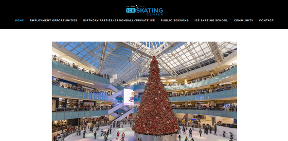 Homepage of Galleria Ice Skating Center / 
Link: galleriaiceskatingcenter.com/
