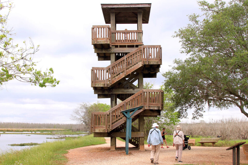 Observation Tower in Brazos Bend State Park
Wikimedia
Link: https://upload.wikimedia.org/wikipedia/commons/thumb/9/93/Observation_Tower_Brazos_Bend_State_Park_Texas_2022.jpg/1280px-Observation_Tower_Brazos_Bend_State_Park_Texas_2022.jpg