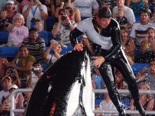 Dancing Dolphine with the performer in San Antonio / Flickr / Brad and Erin Jerome

Link: https://www.flickr.com/photos/10sixteen/3782809831/in/photolist-6LgTza-7sPDWD-ajoP9u-ajoLky-uaWo8-uaWod-2mdQ7Ls-4ow7L1-4otLfL-DsfY6-eaprVf-KNFih-HT26o-4CNLqv-HT25E-eakxfd-ajoMaA-ajoGvA-ajkZuP-ajm4tV-ajkXCk-ajm4LH-ajoMqy-ajkWJ2-ajoRhG-2fBVDe8-5AHQiQ-ajoQhj-ajoKyd-ajoKM7-ajoNim-eapZrh-ajoSto-eam5rg-earHY5-eaiPPi-fJUabM-eaeSi2-eajjk6-eapXZY-bh9T3D-5i94r8-eakxwm-5tNVjb-2jHo9L-5ADzvV-ajoGW7-7u2yXi-2jHoCE-dqUNt