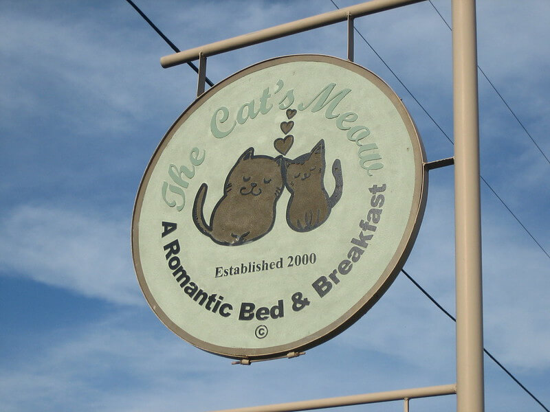 
Signboard of Catnip Cabin, Cat's Meow B&B / Flickr / Wayne
Link: https://flickr.com/photos/spirit635/146885217/in/photolist-dYPRK-5GqKXt-4QJSSb-5XKAga-5Vmrkb-7NmCBn-7NwEHF-az3kFw-2k4AE4-7BUUnj-2k4DhR-nXWiF-8J3vDG-asByfL-31i8jQ-5FqXzn-7NwEda-7NzDfQ-7NvDKk-31dASn-7tHU7d-31dztk-7NzDow-7NzCz1-7NAE5U-7NvXvv-7NvCQM-5FqY9B-7NmH64-6jPkxJ-7NvXAT-7NvW5V-7NvXcn-7NvV68-7NADF3-7NvXPc-6YtK4r-7NwEhR-7NwEua-7NzVQq-7NvEqg-7NzVCj-dnwid-7NzDUo-5AkMwB-3qduKa-7NkW6Z-7NvCxZ-7NAEe9-7NvDF8

