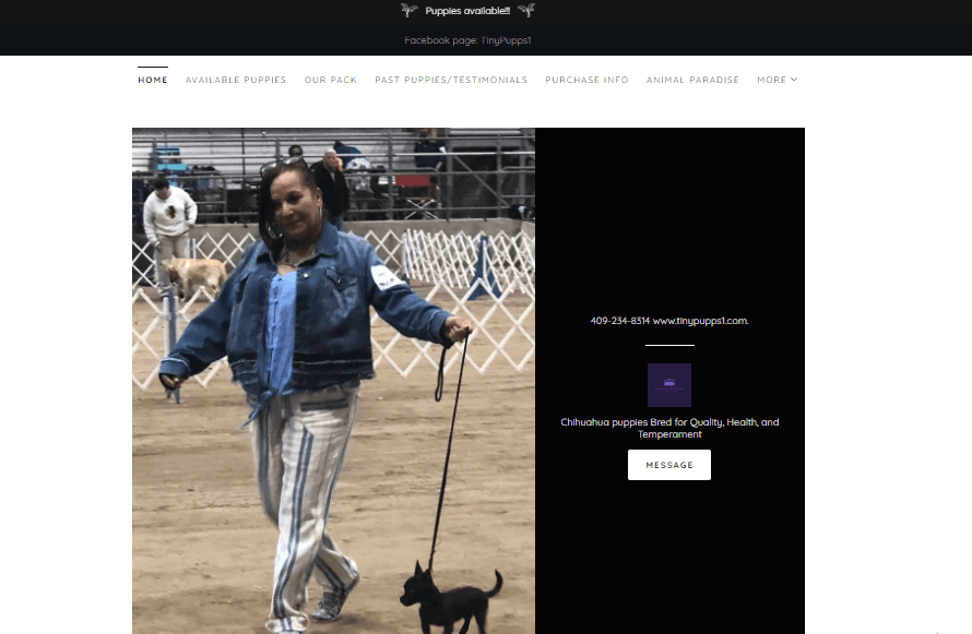 Homepage of Anastasia's Tiny Pups/ tinypupps1.com