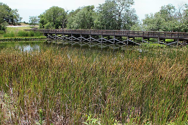 Bridge at Cedar Hill State Park / Wikipedia / Larry D moore
link:
https://en.wikipedia.org/wiki/Cedar_Hill_State_Park#/media/File:Cedar_hill_state_park_perch_pond.jpg