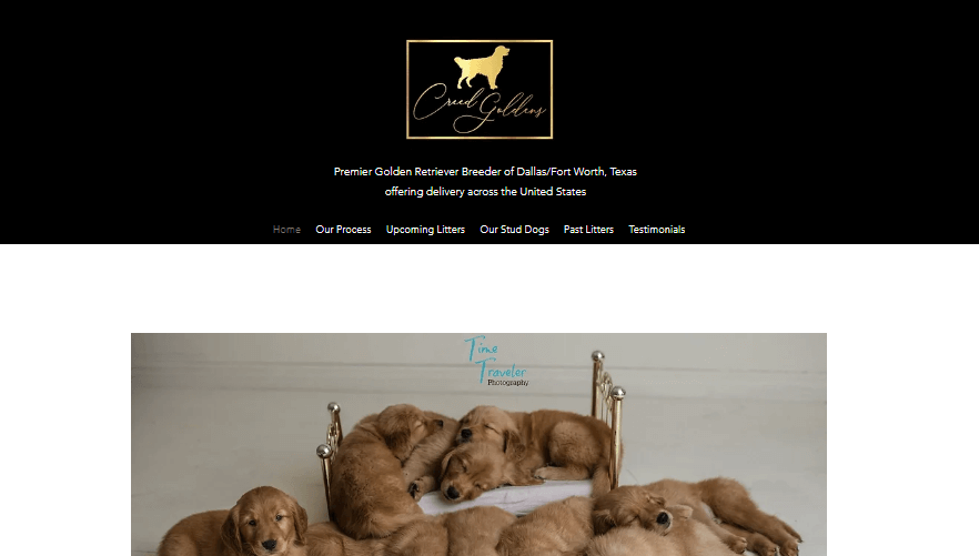 Homepage of Creed Goldens/ creedgoldens.com