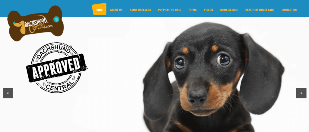 Homepage of Dachshund Central / dachshund.com