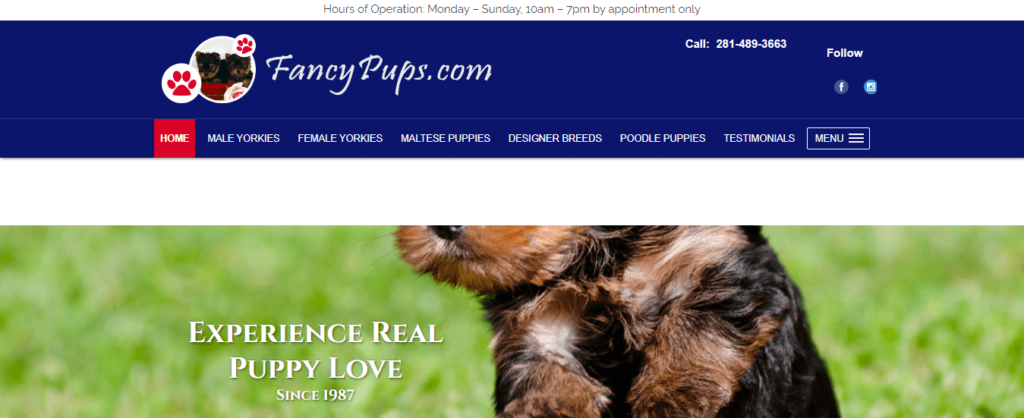 Homepage of Fancypups / fancypups.com