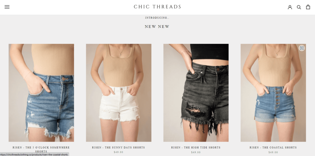 Homepage of Chic Threads Clothing Co.’s website / chicthreadsclothing.co