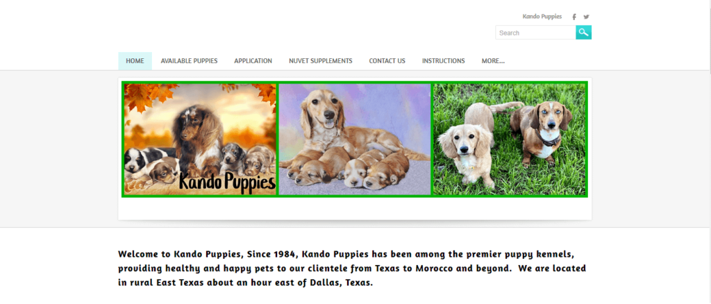 Homepage of Kando Puppies/ kandopuppies.com