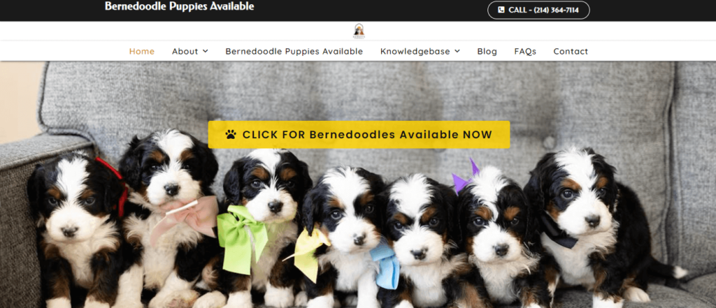 Homepage of Namaste Bernedoodles / namastepoodles.com
