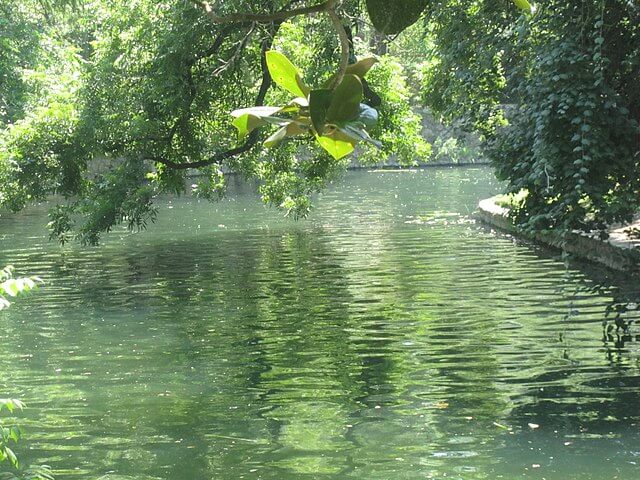 San Antonio River / Wikipedia / Billy Hathom

Link: https://en.wikipedia.org/wiki/San_Antonio_River#/media/File:San_Antonio_River_at_Witte_Museum_IMG_3155.JPG 