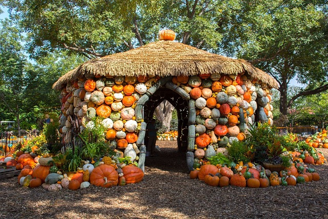 Inside View of Arboretum And Botanical Gardens, TEXAS / Pixabay / lkhenslee
link:
https://pixabay.com/photos/pumpkins-house-arboretum-dallas-918035/