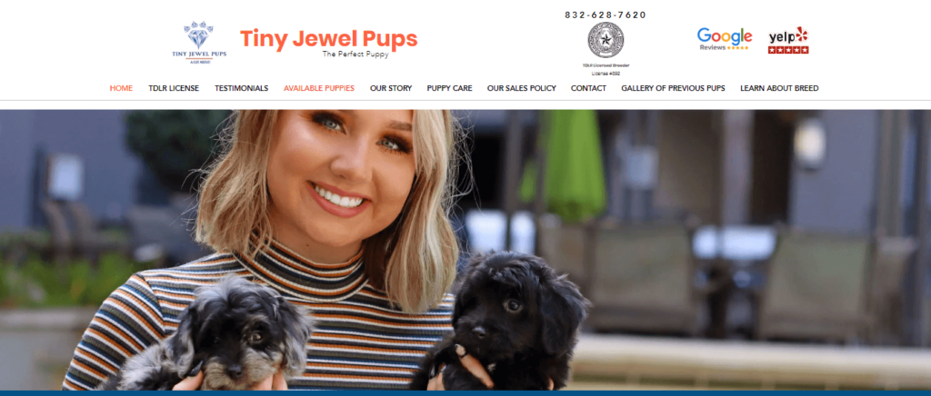 Homepage of Tiny Jewel Pups/ tinyjewelpups.com