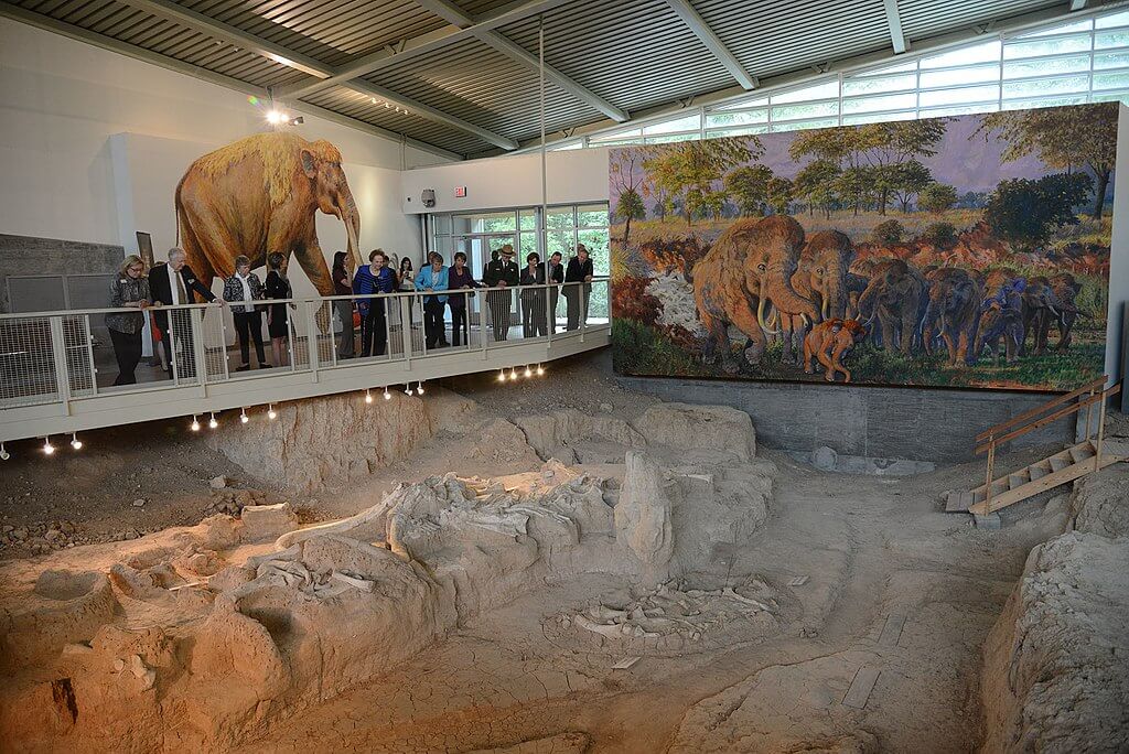 People on tour at the Waco Mammoth National Monument / Wikimedia Commons / U. S. Department of the Interior
Link: https://commons.wikimedia.org/wiki/File:Waco_Mammoth_NM_4223_2_(21784691960).jpg