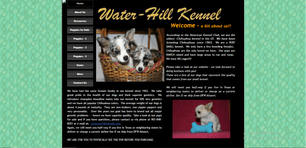 Homepage of Water Hill Kennel/ water-hillchihuahuas.com