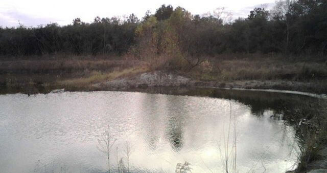 The northeastern side of Addick's Reservoir / Wikipedia / Lettus B
Link: https://en.wikipedia.org/wiki/File:Addicks_pond.jpg