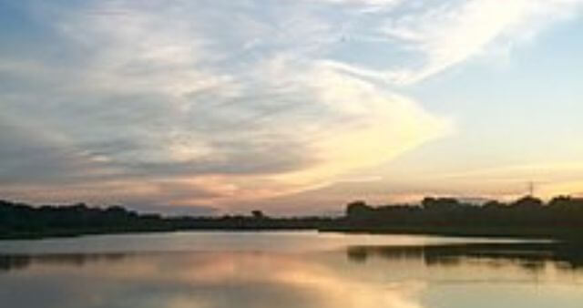 Lake Arlington at sunset / Wikipedia / Mpetrov1
Link: https://en.wikipedia.org/wiki/File:Lake_Arlington,_located_in_Arlington_Heights,_IL_May_2016.jpg