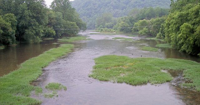 Lake Greenbrier / Wikipedia / Tim Kiser
Link: https://en.wikipedia.org/wiki/File:Greenbrier_River_Marlinton.jpg