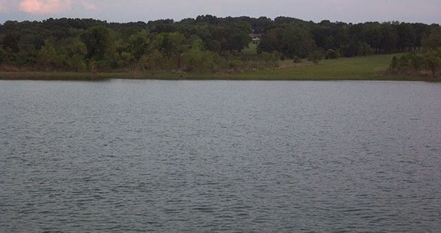 Texoma lake towards the water edge / Wikipedia / Joy Stovall
Link: https://en.wikipedia.org/wiki/File:Lake_Texoma.JPG