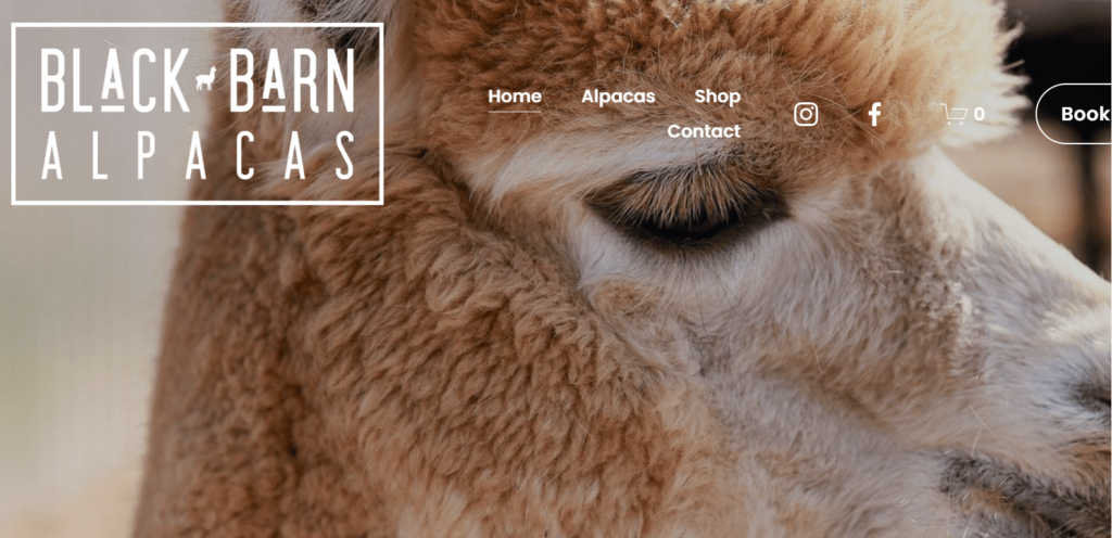Homepage of Black Barn Alpacas 
Link:
 blackbarnalpacas.com