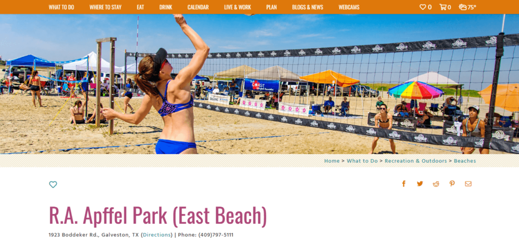 Homepage of East Beach /
Link: galveston.com