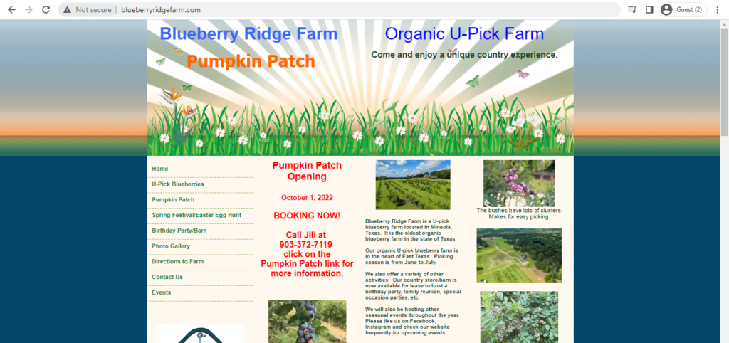 Homepage of Blueberry Ridge Farm & Pumpkin Patch
Link: http://www.blueberryridgefarm.com/