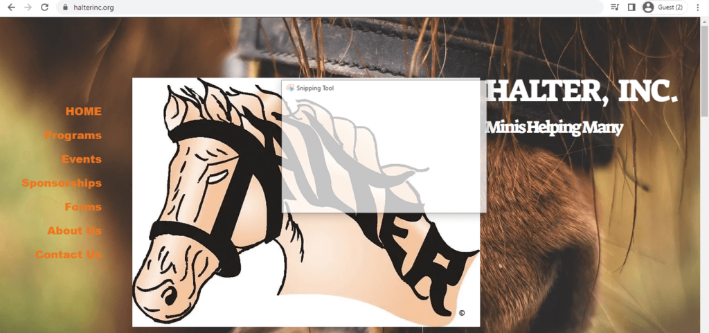 Homepage of HALTER Inc
Link: https://www.halterinc.org/