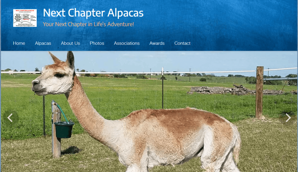 Homepage of Next Chapter Alpacas /

Link: https://www.nextchapteralpacas.com/