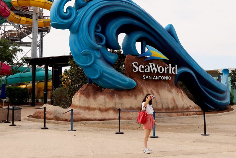 Seaworld San Antonio / Flickr / Thank You (23 million views)
Link: 
https://www.flickr.com/photos/prayitnophotography/52405776498/in/photolist-2nQViyE-zXCGC2-zWuKLL-6jQzY7-84NjwQ-84Nebs-84Nh2m-84Nhv5-84K6vX-6jQA6u-8U4XNq-c1cAtb-zVkvzh-zXCMFi-zF3MUS-zF28qb-zF24WY-zXCNYP-zXCQjK-zYyLWk-z1KNye-z1B9XE-z1KVxV-z1AZDQ-zXCJwn-zF8hBe-zF8gJ2-zVkjR3-zVkpNY-zYyMk6-zWuGtJ-bGVA4K-4XGGR-9s9BY4-HWyXyH-9s9CjM-9s9CKD-9scBKf-JPTkNy-9s9CpD-9s9Cza-RbXauy-9s9CVx-9s9CEK-9scAjG-9s9D8a-RbXaSh-RbX9Yd-4Y8SA4-Js5iKE