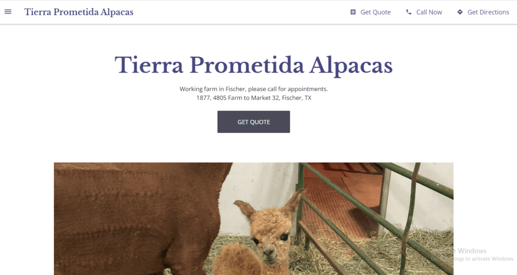 Homepage of Tierra Prometida Alpaca Ranch 
Link:
 https://tierra-prometida-alpacas.business.site/