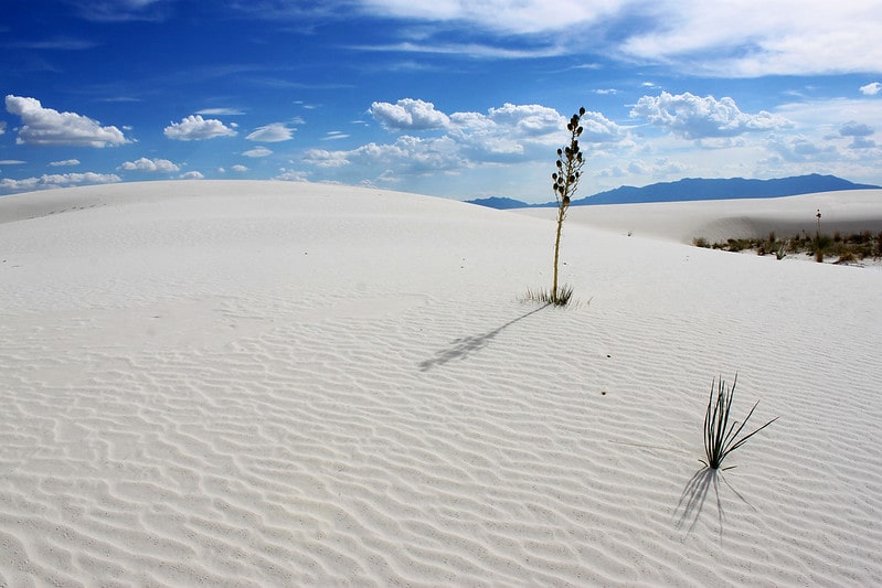 Beautiful White Sand National Park / Flickr / MortAuPat
Link: https://www.flickr.com/photos/mortaupat/8213412983/