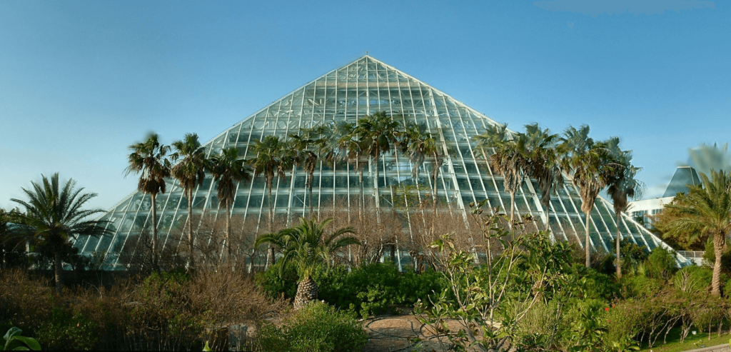 View of a pyramid in Moody Gardens / Wikipedia / Nsaum75

Link: https://en.wikipedia.org/wiki/Moody_Gardens#/media/File:MoodyGardens.jpg