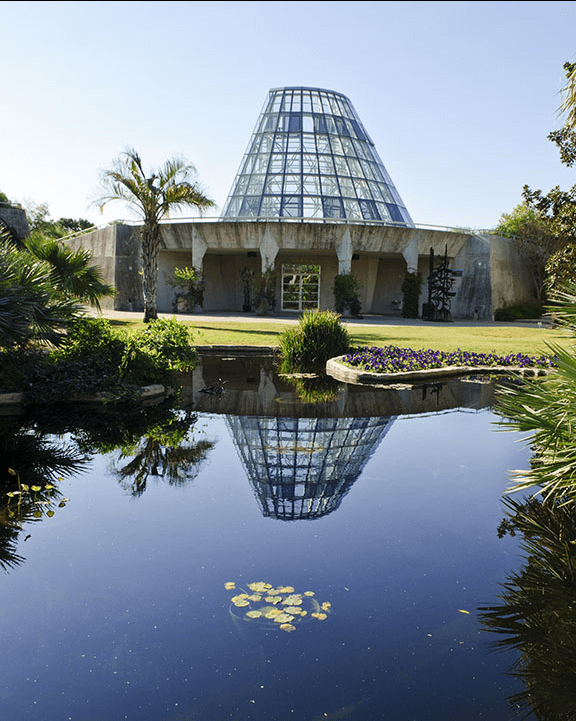 View of the San Antonio Botanical Garden together with its pond / Wikipedia / BFS Man

Link: https://en.wikipedia.org/wiki/San_Antonio_Botanical_Garden#/media/File:Epiphyte_Garden_at_SABot_(5176663727).jpg
